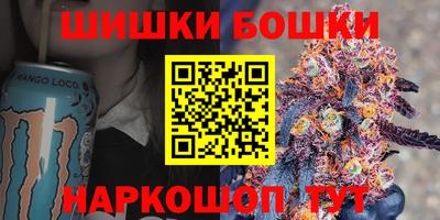 шишки Новодвинск