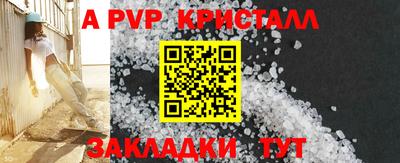 шишки Новодвинск