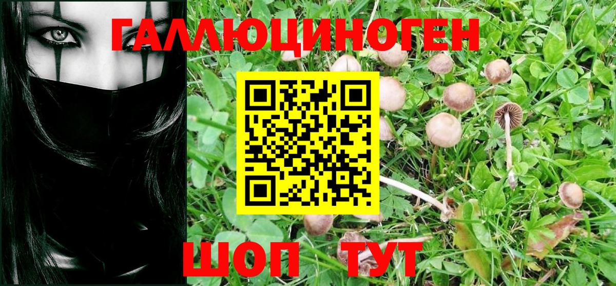 купить   Псилоцибиновые грибы Cubensis  Вход с VPN  Псилоцибиновые грибы Magic Shrooms  Тобольск 